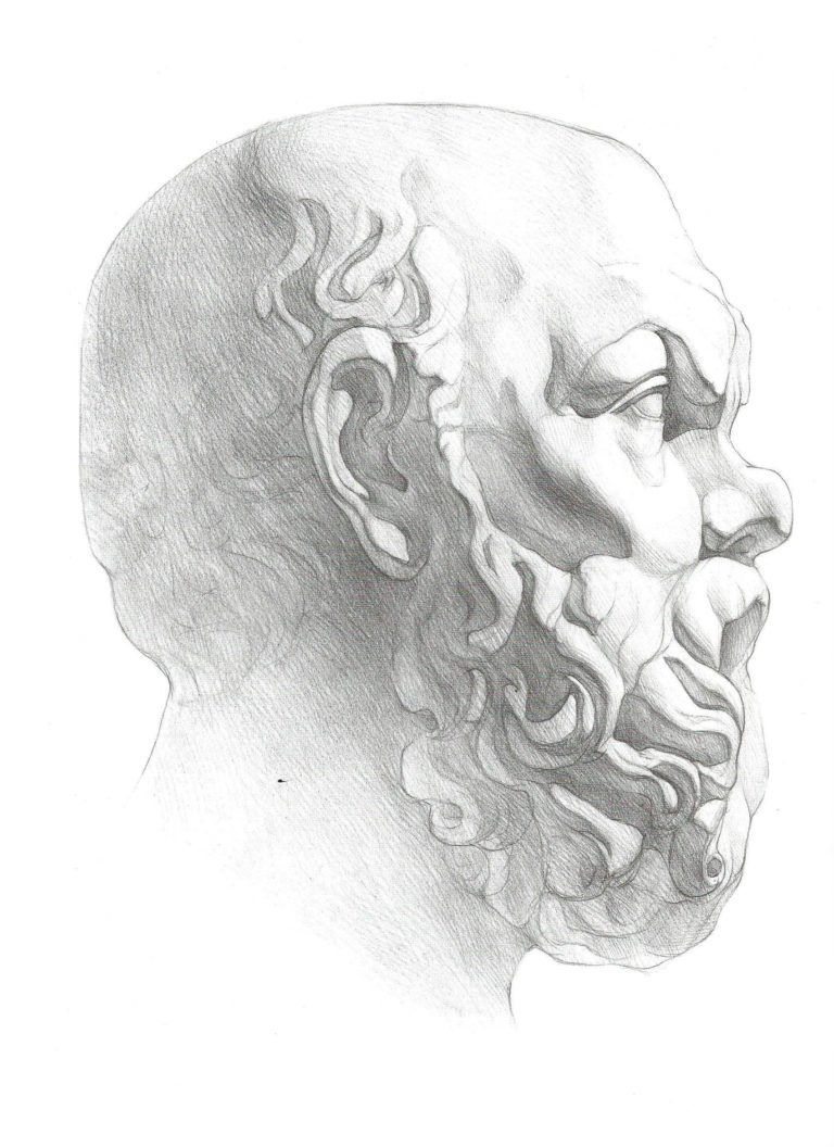 Сократ рисунок гипсовой головы