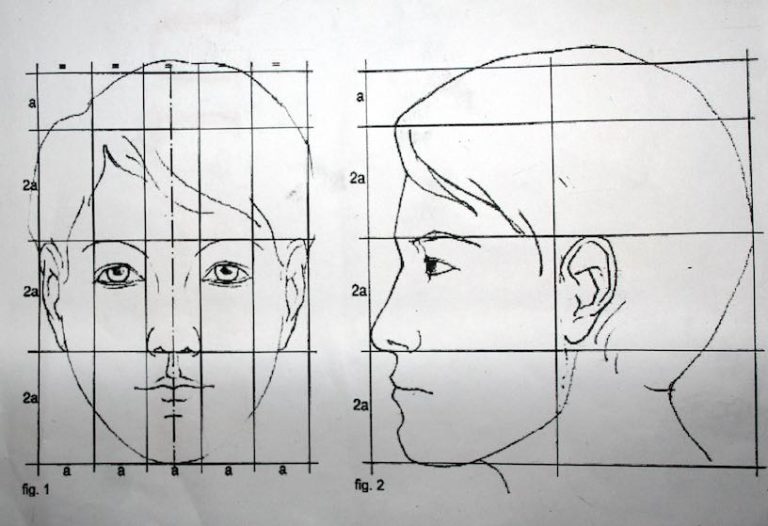 Рисунок лицо человека 6 класс