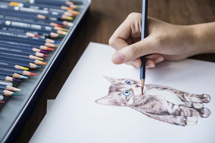 Рисуем животных карандашом